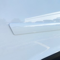  Chevrolet Silverado Extended Cab Painted Body Side Molding 2007 - 2013 / FE2-SILVERADO-EC