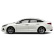  Hyundai Sonata ChromeLine Painted Body Side Molding 2011 - 2019 / CF-SON11