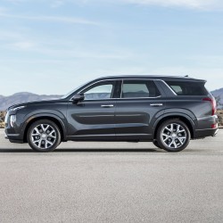  Hyundai Palisade ChromeLine Painted Body Side Molding 2020 - 2025 / CF7-PALISADE20