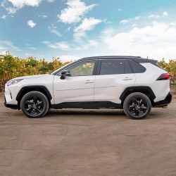  Toyota RAV4 ChromeLine Painted Body Side Molding 2019 - 2024 / CF7-RAV4-19