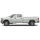  Dodge Ram 2500 Crew Cab Painted Moldings with a Color Insert 2019 - 2022 / CI-RAM19-2500-CC