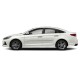 Hyundai Sonata Painted Moldings with a Color Insert 2011 - 2019 / CI-SON11