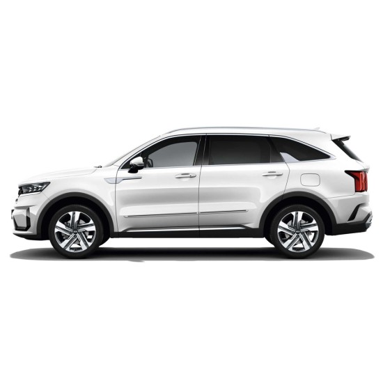 Kia Sorento Painted Moldings with a Color Insert 2021 - 2023 / CI-SOR21 Kia Sorento Painted Moldings with a Color Insert 2021 - 2023 / CI-SOR21