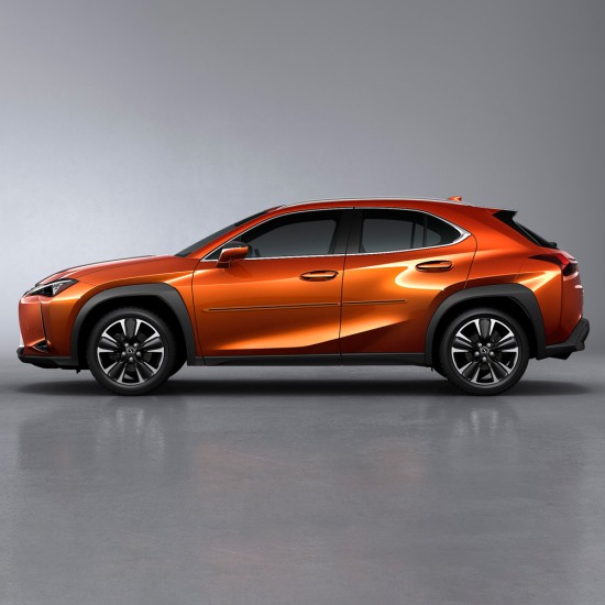  Lexus UX Painted Moldings with a Color Insert 2019 - 2022 / CI-UX-19