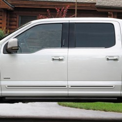 Ford F-150 SuperCrew Painted Moldings with a Color Insert 2015 - 2025 / CI2-F15015-SCC
