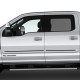  Ford F-350 SuperCrew Painted Moldings with a Color Insert 2017 - 2022 / CI2-F250/350-17-CC