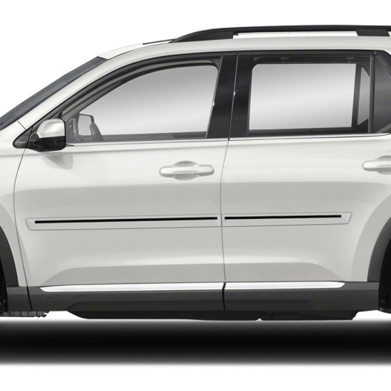  Honda Pilot Painted Moldings with a Color Insert 2023 - 2025 / CI2-PILOT23