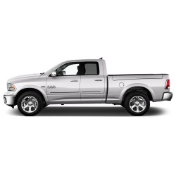  Ram Quad Cab Painted Moldings with a Color Insert 2009 - 2018 / CI2-RAM09-QC