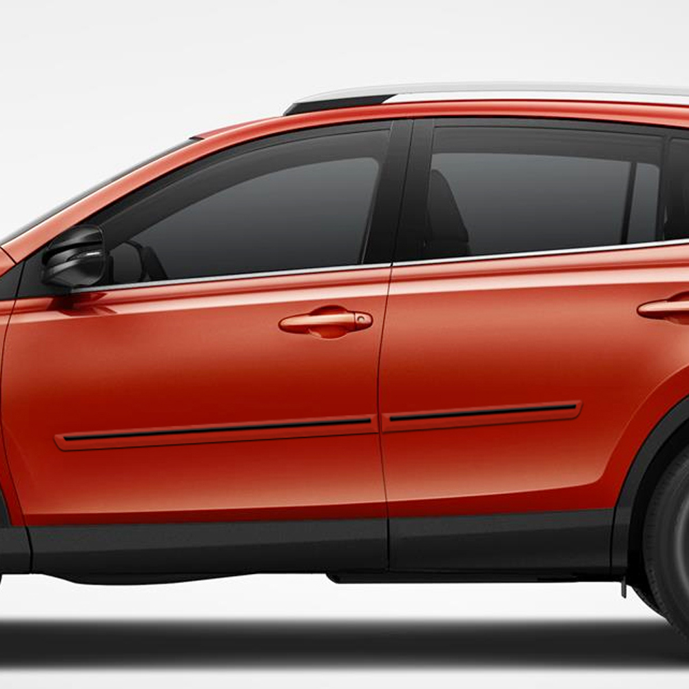 Painted Molding with Color Insert : Toyota RAV4 Painted Body ...