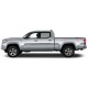  Toyota Tacoma Double Cab Painted Moldings with a Color Insert 2005 - 2022 / CI2-TACDC