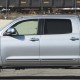  Toyota Tundra CrewMax Painted Moldings with a Color Insert 2007 - 2021 / CI2-TUN-CM-XX-L