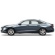  Honda Accord Painted Moldings with a Color Insert 2023 - 2025 / CI7-ACC23
