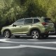  Subaru Forester Painted Moldings with a Color Insert 2019 - 2021 / CI7-FORESTER-192