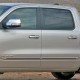 Dodge Ram 1500 Crew Cab Painted Moldings with a Color Insert 2019 - 2023 / CIS-RAM19-CC Dodge Ram 1500 Crew Cab Painted Moldings with a Color Insert 2019 - 2023 / CIS-RAM19-CC