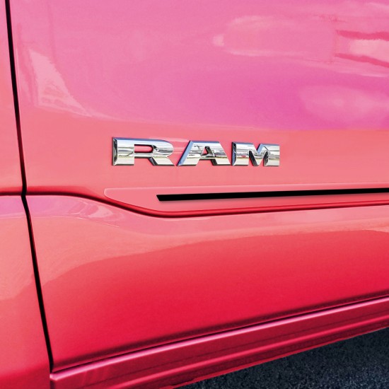  Dodge Ram 1500 Quad Cab Painted Moldings with a Color Insert 2019 - 2022 / CIS-RAM19-QC