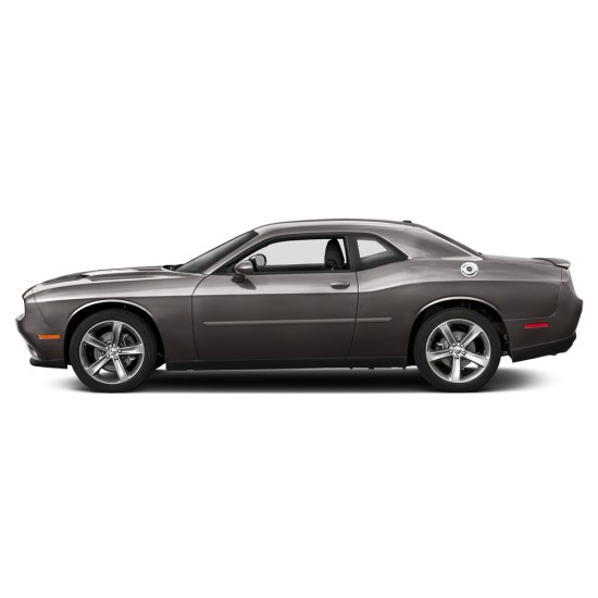  Dodge Challenger Painted Body Side Molding 2008 - 2022 / FE-CHALL