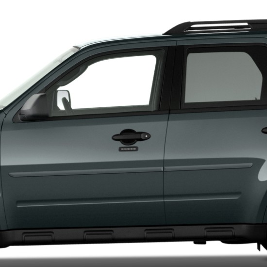  Ford Escape Painted Body Side Molding 2008 - 2012 / FE-ESC-MAR