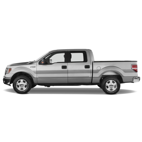  Ford F-150 SuperCrew Painted Body Side Molding 2009 - 2014 / FE-F15009-CC