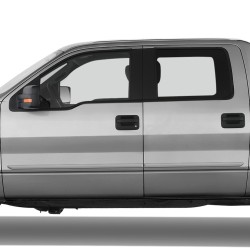  Ford F-150 SuperCrew Painted Body Side Molding 2009 - 2014 / FE-F15009-CC