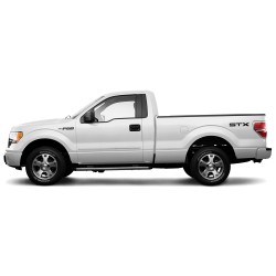  Ford F-150 Regular Cab Painted Body Side Molding 2009 - 2014 / FE-F15009-RC