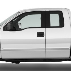  Ford F-150 SuperCab Painted Body Side Molding 2009 - 2014 / FE-F15009-SC
