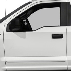  Ford F-150 Regular Cab Painted Body Side Molding 2015 - 2023 / FE-F15015-RC