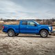  Ford F-150 SuperCab Painted Body Side Molding 2015 - 2025 / FE-F15015-SC