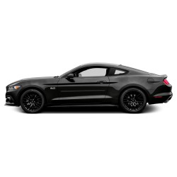  Ford Mustang Painted Body Side Molding 2005 - 2023 / FE-MUSTANG