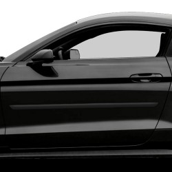  Ford Mustang Painted Body Side Molding 2005 - 2023 / FE-MUSTANG