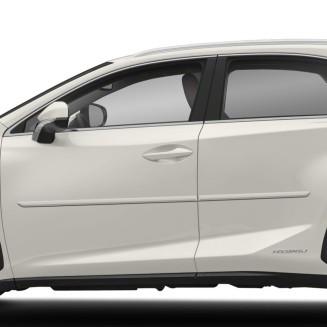 Lexus NX Painted Body Side Moldings 2015 - 2021