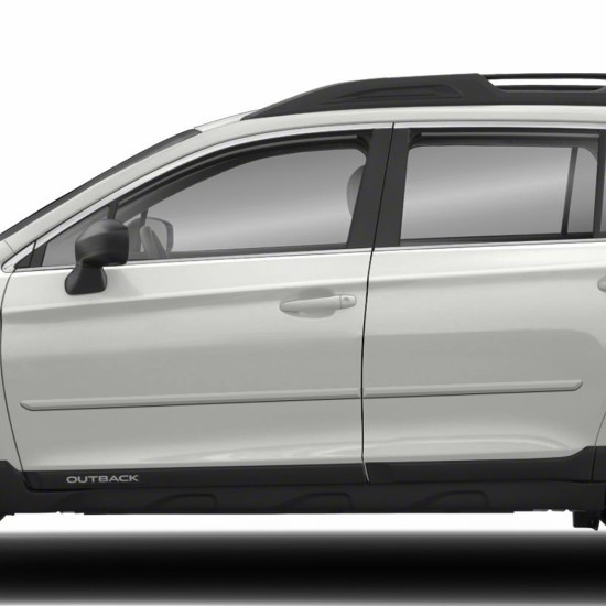  Subaru Outback Painted Body Side Molding 2010 - 2019 / FE-OUTBACK