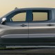  Chevrolet Silverado 1500 Crew Cab Painted Body Side Molding 2019 - 2022 / FE-SIL19-CC