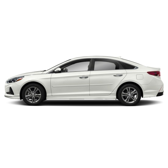  Hyundai Sonata Painted Body Side Molding 2011 - 2019 / FE-SON11