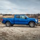  Ford F-150 SuperCab Painted Body Side Molding 2015 - 2025 / FE2-F15015-SC