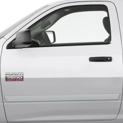  Ram Regular Cab Painted Body Side Molding 2009 - 2018 / FE2-RAM09-RC