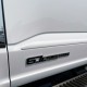  Ford F-250 SuperCrew Painted Body Side Molding 2023 - 2025 / FES-F250/350-23-CC