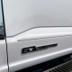  Ford F-350 SuperCab Painted Body Side Molding 2023 - 2024 / FES-F250/350-23-SC