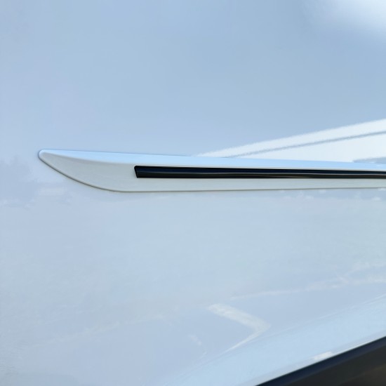  Toyota RAV4 Painted Moldings with a Color Insert 2019 - 2024 / CI7-RAV4-19