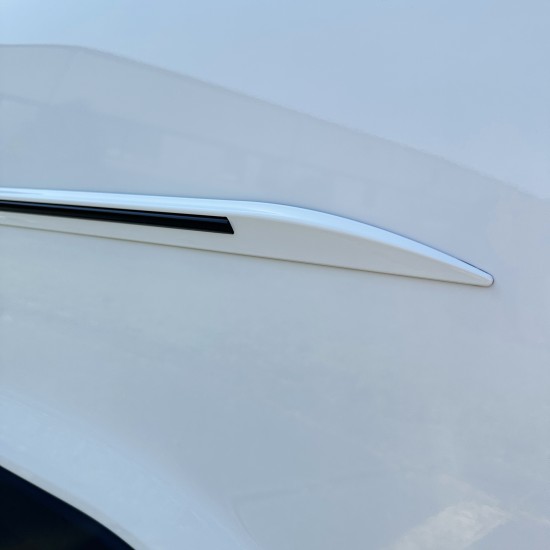  Hyundai Sonata Painted Moldings with a Color Insert 2020 - 2023 / CI7-SON20