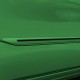  Dodge Ram 1500 Quad Cab Painted Moldings with a Color Insert 2019 - 2023 / CIS-RAM19-QC