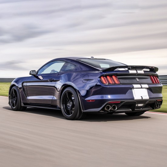  Ford Mustang GT350 Style Pedestal Rear Deck Spoiler 2015 - 2023 / MUS15-PED