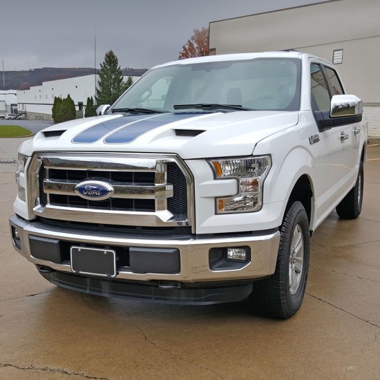  Ford F-150 Painted Functional Ram Air Hood 2015 - 2020 / RAHF15015