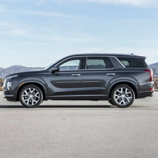  Hyundai Palisade ChromeLine Painted Body Side Molding 2020 - 2025 / CF7-PALISADE20