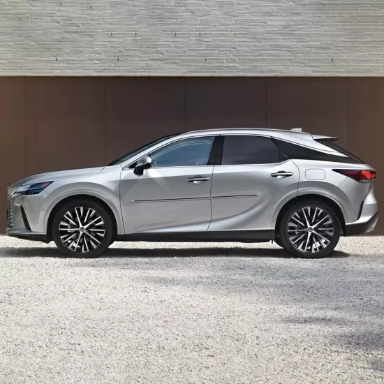  Lexus RX Painted Moldings with a Color Insert 2023 - 2026 / CI-RX23