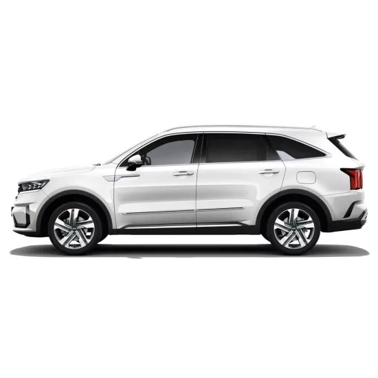  Kia Sorento Painted Moldings with a Color Insert 2021 - 2026 / CI-SOR21
