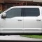  Ford F-150 SuperCrew Painted Moldings with a Color Insert 2015 - 2025 / CI2-F15015-SCC
