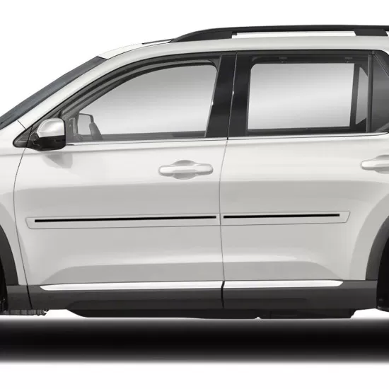 Honda Pilot Painted Body Side Moldings with Color Inserts 2023 - 2025