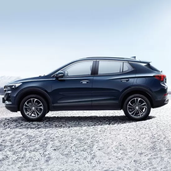  Buick Encore GX Painted Moldings with a Color Insert 2020 - 2023 / CI7-ENCORE20