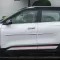 Kia Seltos Painted Body Side Moldings with Color Inserts 2021 - 2023