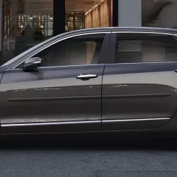  Cadillac CT6 Painted Body Side Molding 2016 - 2021 / FE-CT616